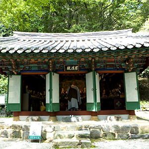 상담사례
